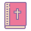 bible icon